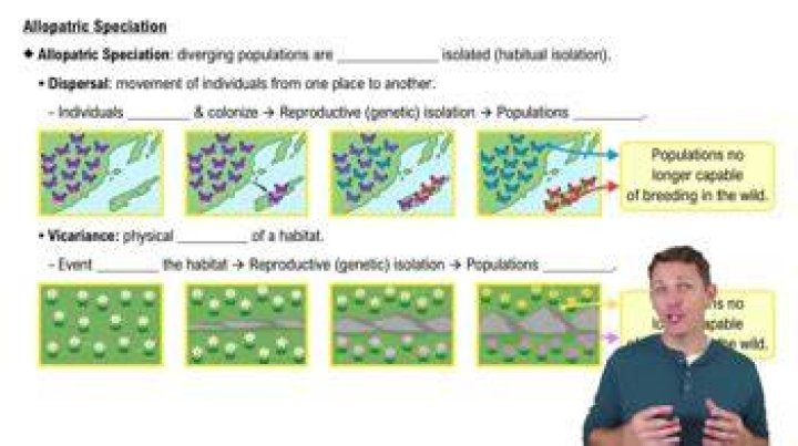 what prevents speciation from occurring in sympatric populations