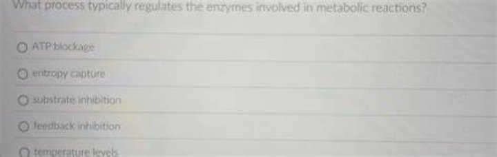 what process typically regulates the enzymes involved in metabolic reactions