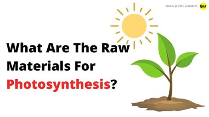 what raw materials are needed for photosynthesis