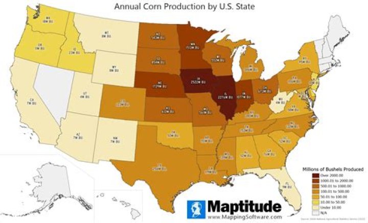 what region of the united states is corn production prevalent