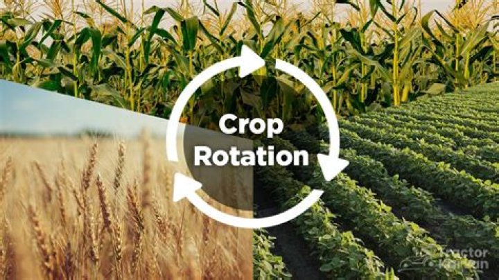 what role did crop rotation play in the agricultural revolution