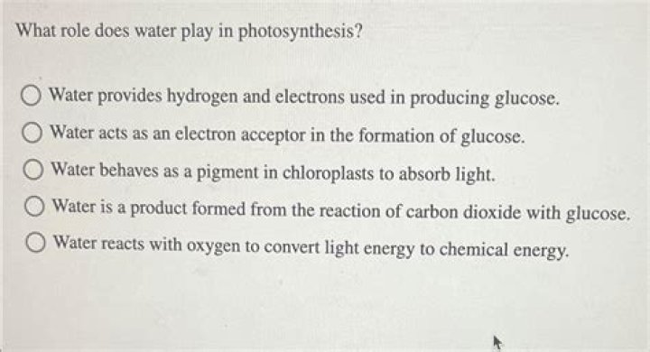 what role does water play in photosynthesis?