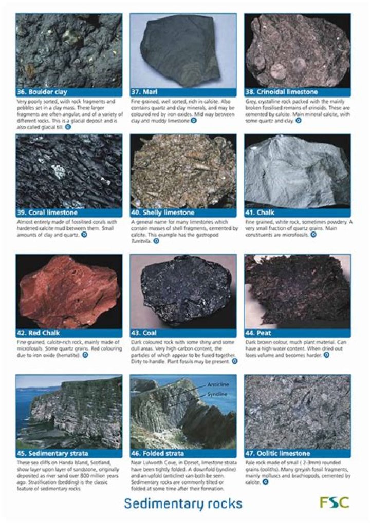 what scientist studies rocks - Lisbd-net.com