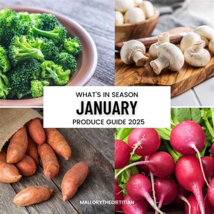 what season in january - Lisbd-net.com