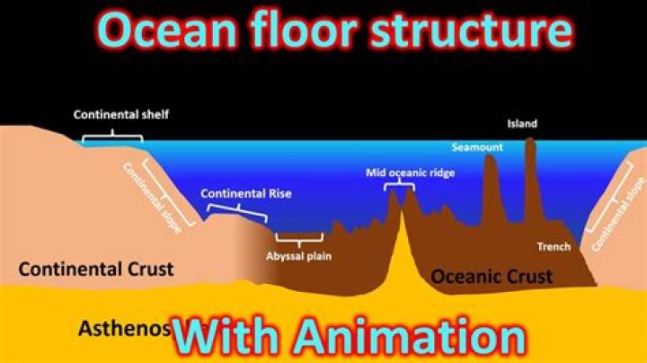 what shape does the seafloor take where the sediment is the thickest
