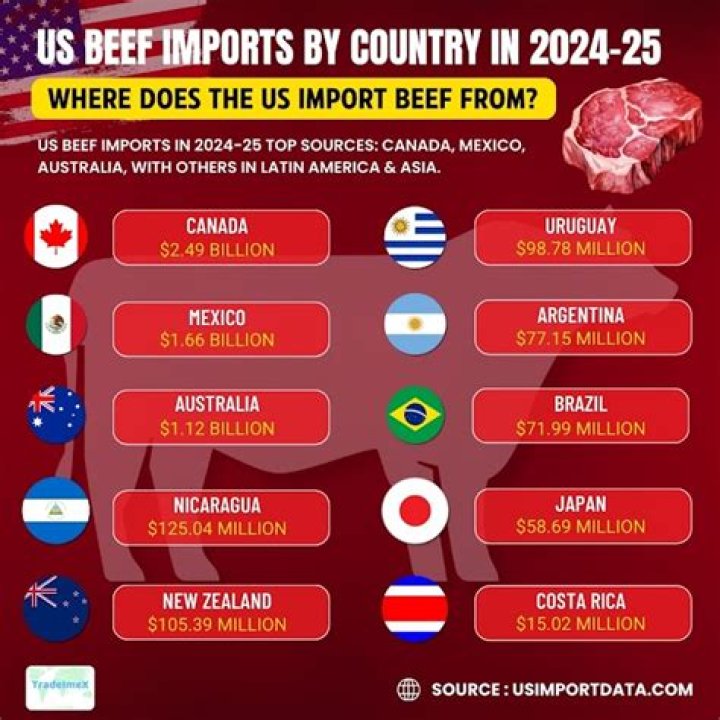 what south american country is known for its beef production
