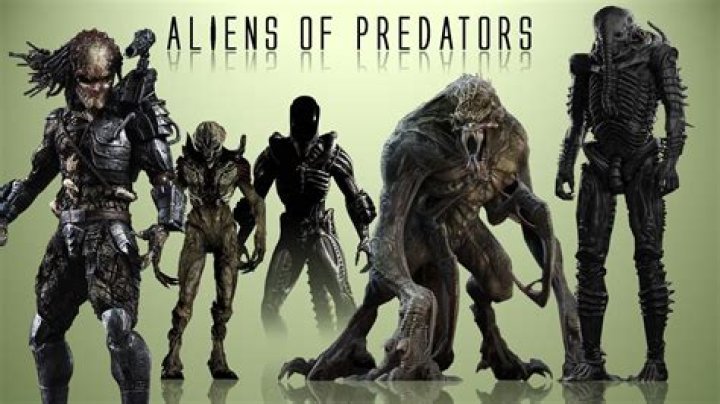 what species is predator - Lisbd-net.com