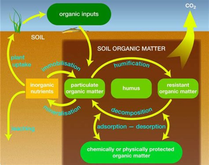 what, specifically, makes a process inorganic?