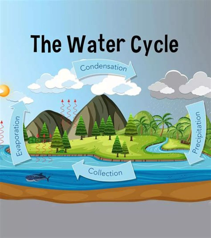 what stages of the water cycle are driven by the force of gravity