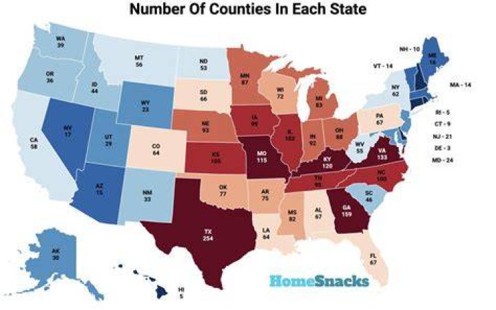 what state has the most counties in the us