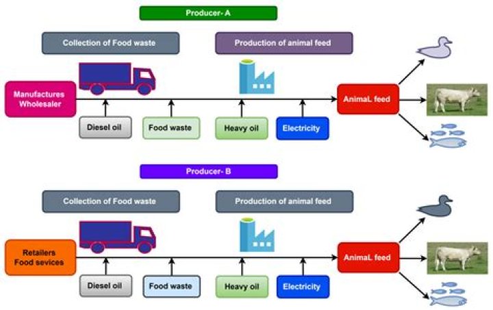what structure stores waste produced in the cell