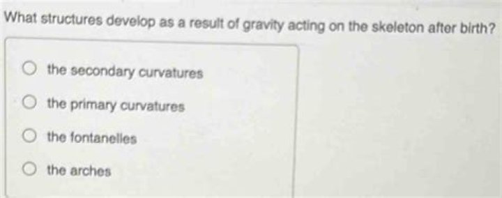 what structures develop as a result of gravity acting on the skeleton after birth?