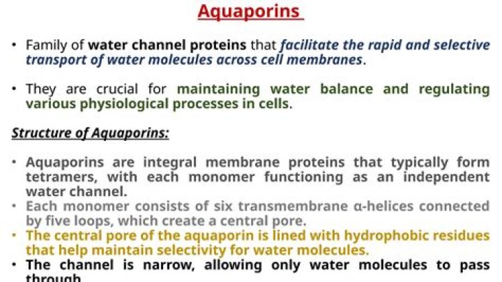 what substance is transported by aquaporins