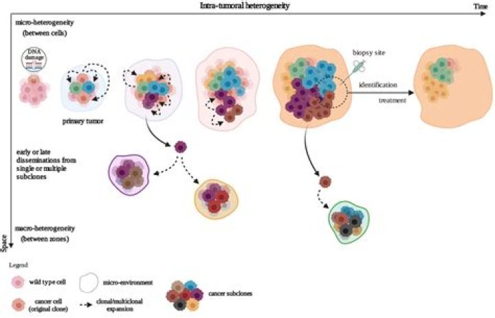 what term describes localized tumor growth?