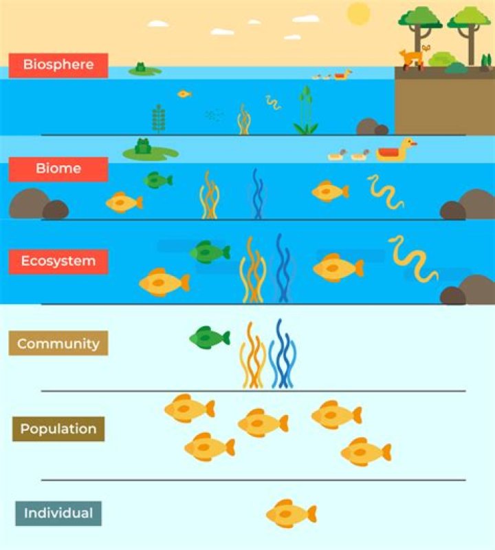 what term describes the mix of all living things in the biosphere?