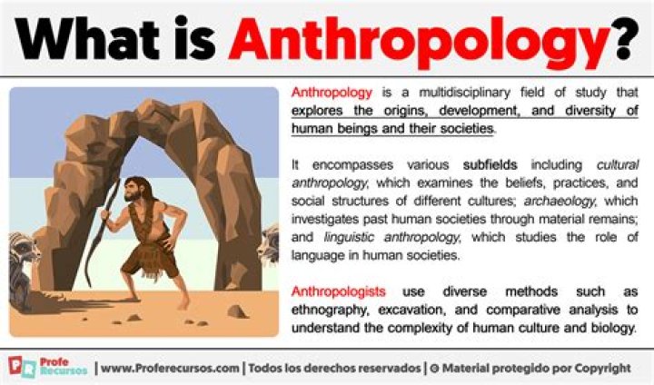what tools do anthropologist use