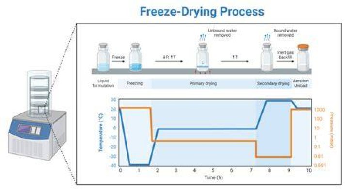 what two changes of state are involved in freeze-drying