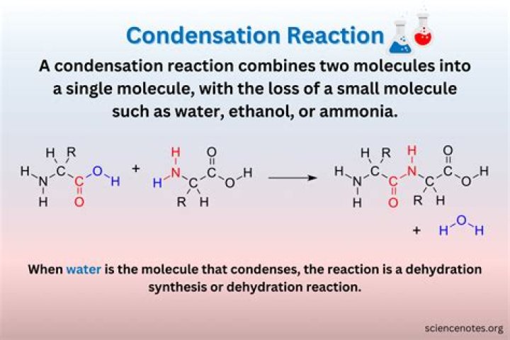 what two conditions are necessary for condensation to occur?