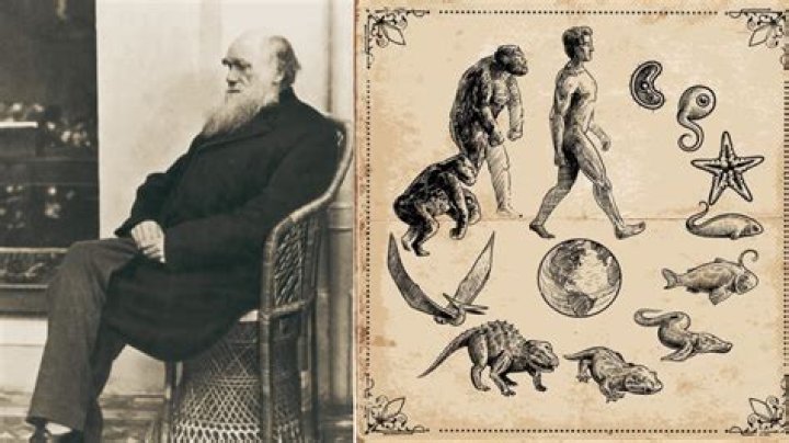 what two ideas from geology were important to darwin's thinking