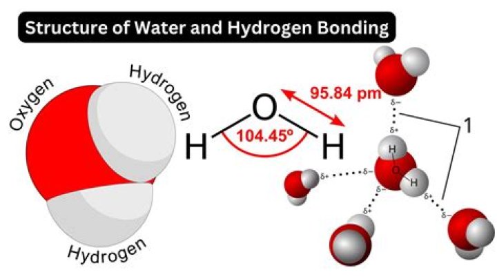 what type of bond is involved in the formation of a water molecule?