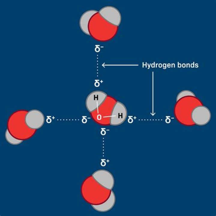what type of bonds hold a water molecule together