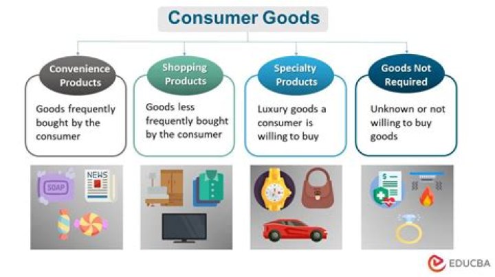 what type of consumer is a lion