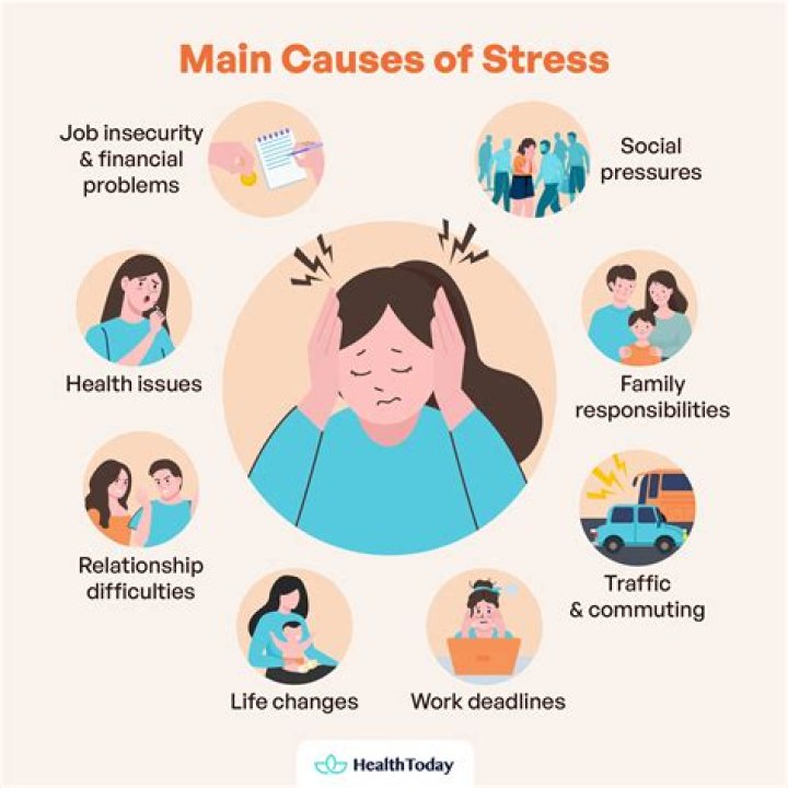 what type of stress is the cause of most folding?