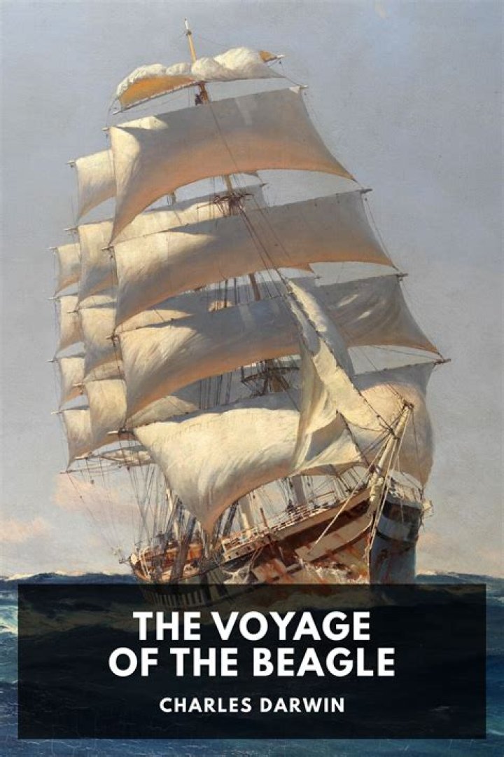 what was darwin's role on the beagle?