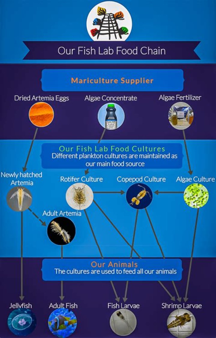 what was the main food source for the northwest