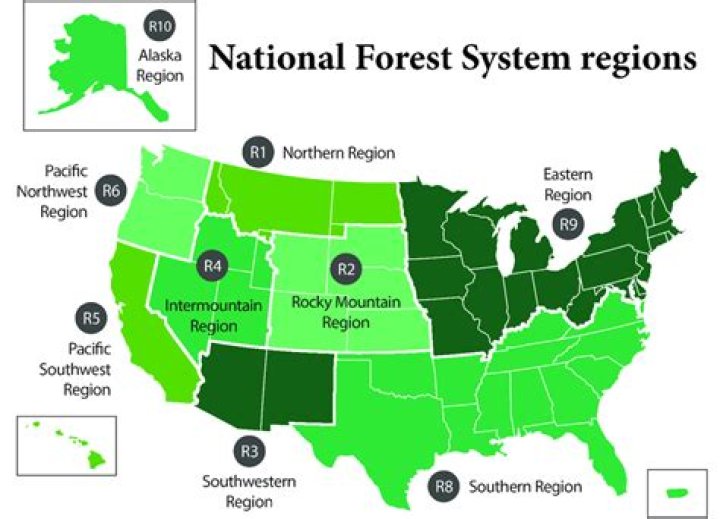 what was the original purpose of the national forest service