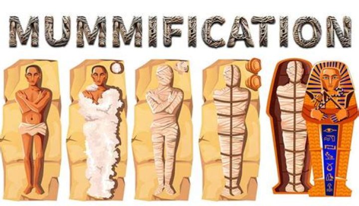 what was the purpose of mummification?