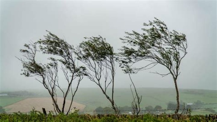 what way is the wind blowing today