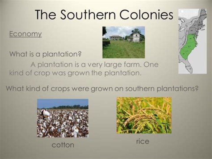 what were three crops grown in the southern colonies
