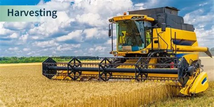 when are crops harvested - Lisbd-net.com
