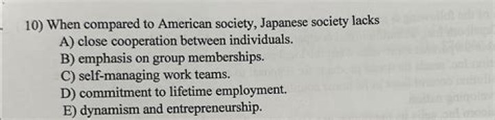 when compared to american society, japanese society lacks
