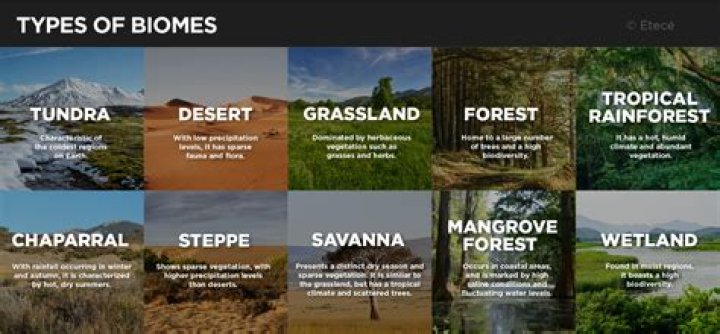 when defining terrestrial biomes, which of the following information is most useful?