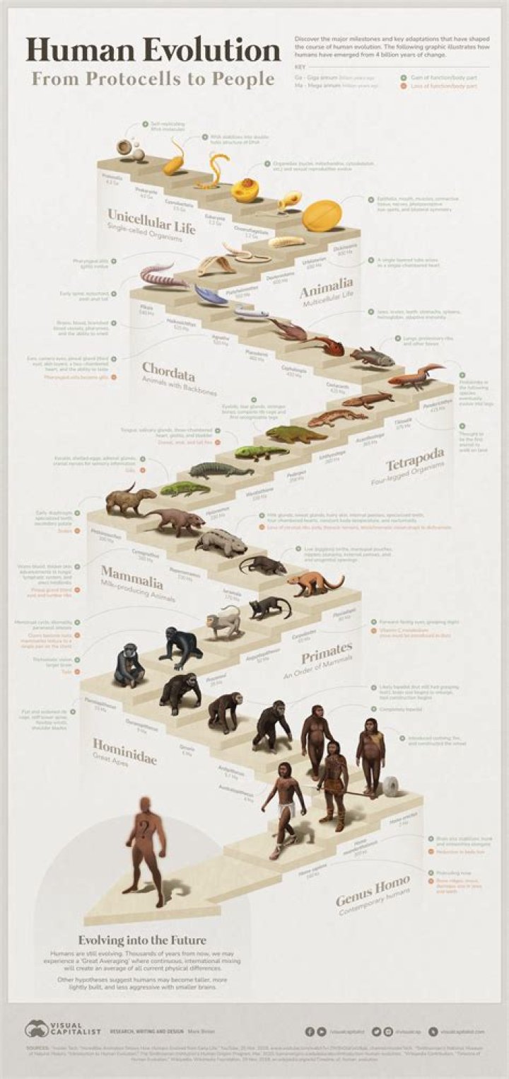 when did anthropology emerge as an academic discipline?