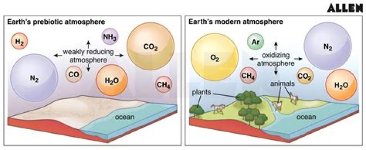when do scientists believe that chemical evolution occurred