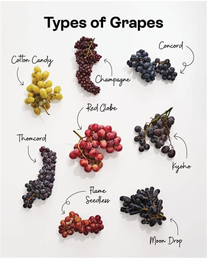 when does grapes of wrath take place