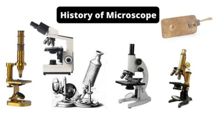 when is the microscope a useful tool for biologists