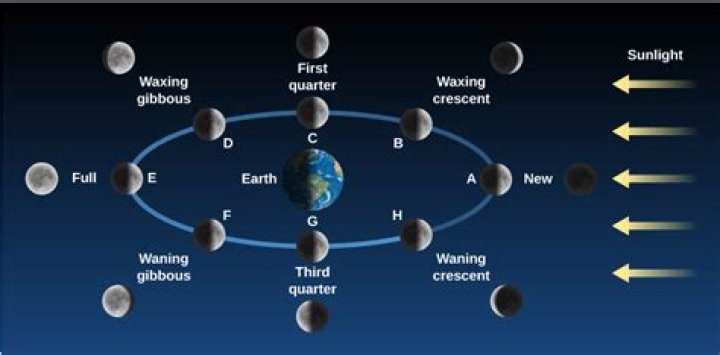 when is the moon at its highest point