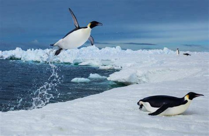 when was antarctica free of ice