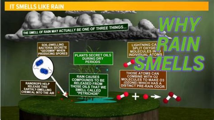 when was the first rain on earth