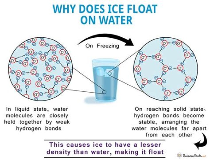 when water freezes ice floats why