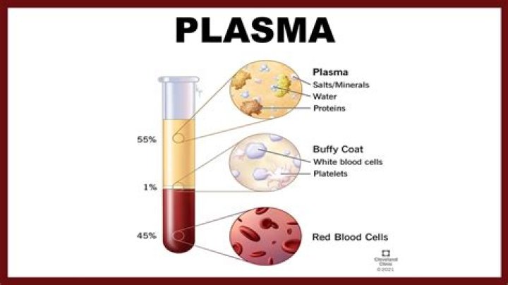 when we say that the sun is a ball of plasma, we mean that ________.