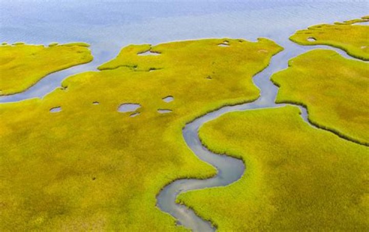 Where A River Meets The Ocean?