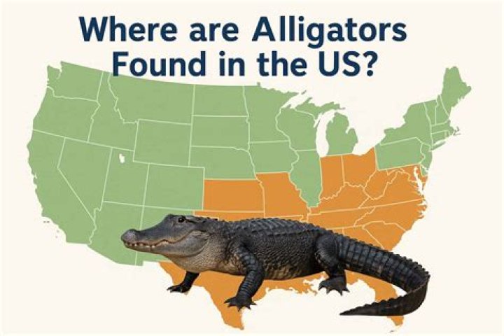 where alligators live map - Lisbd-net.com
