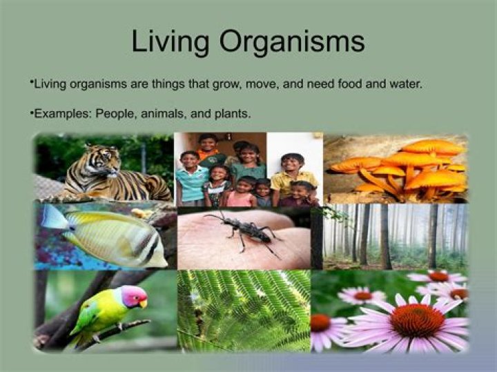 where an organism lives - Lisbd-net.com