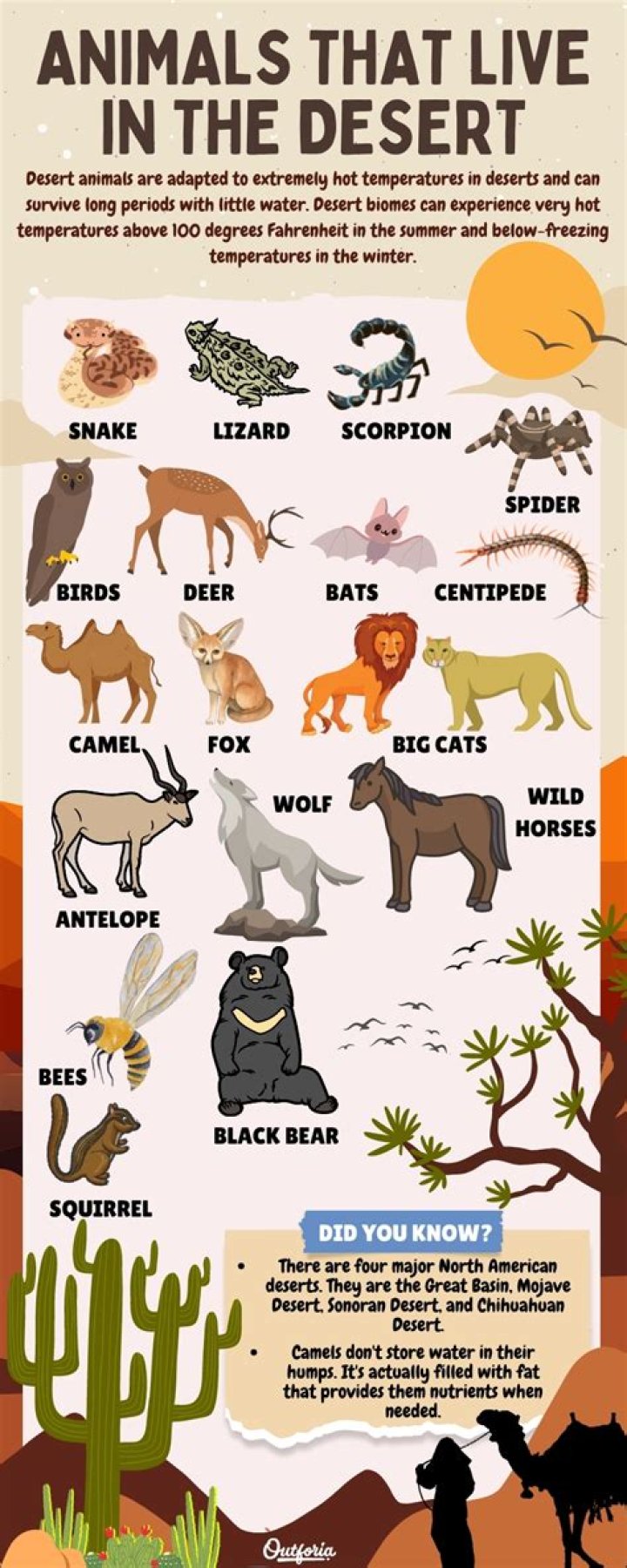 where animals live in - Lisbd-net.com