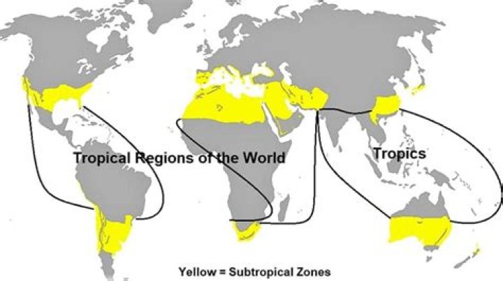 where are the subtropics - Lisbd-net.com